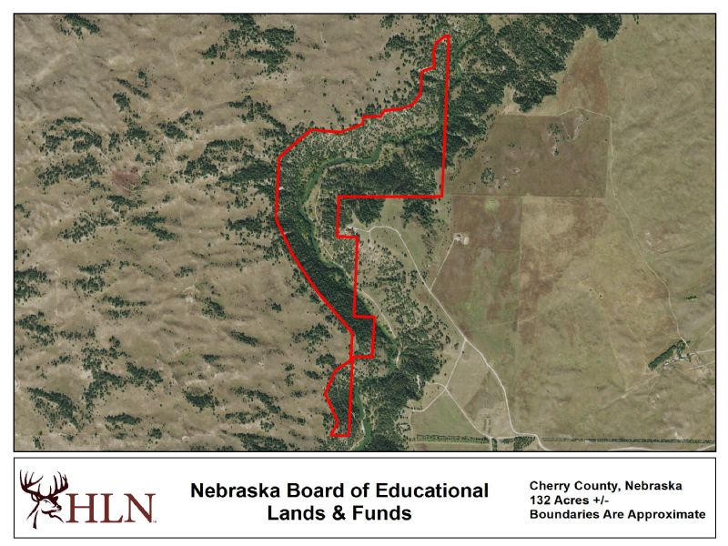 Hunting Leases Hunting Lease Network