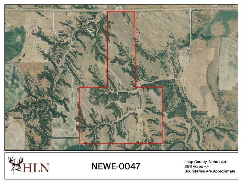 NEWE 0047 Hunting Lease in Loup County, NE 356 Acres