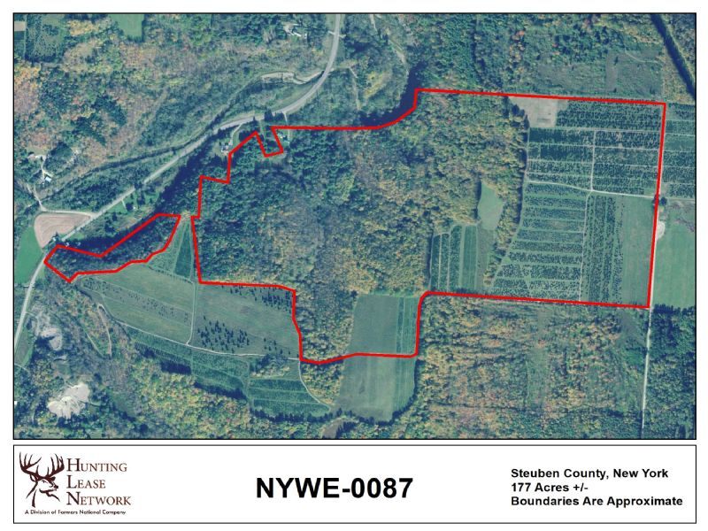 NYWE 0087 Hunting Lease in Steuben County, NY 177 Acres