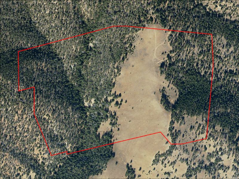 Hunting Property Photo