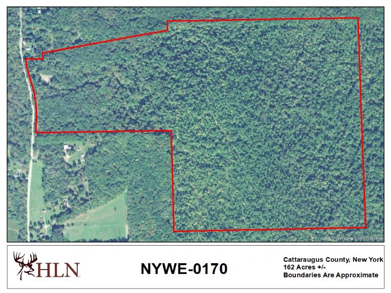 Hunting Property Photo