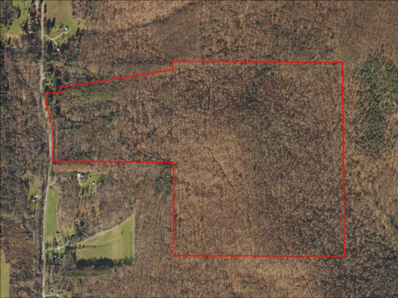 Hunting Property Photo