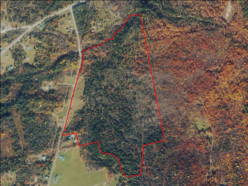 Hunting Property Photo