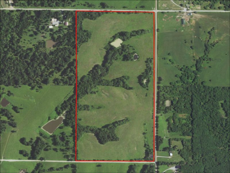 Hunting Property Photo