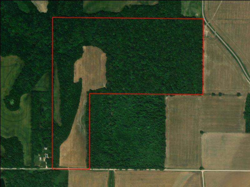 Hunting Property Photo