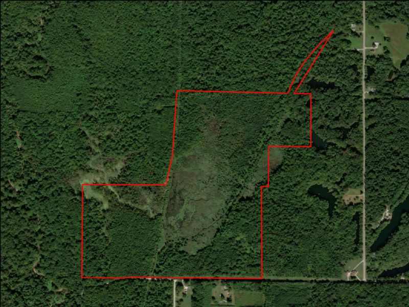 Hunting Property Photo